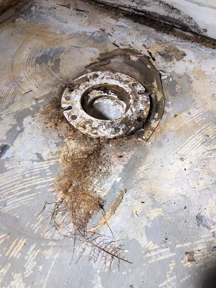 Sturgeon Plumbing & Gas Services project photo 18 — Cullman, North Alabama